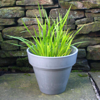 Natural Eco-Friendly Grey Plant Pot By Urban Undergrowth.